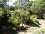 Adam's view of the house and back yard.