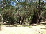 Park opposite pub - with wooden footbridges over Jane Brook.