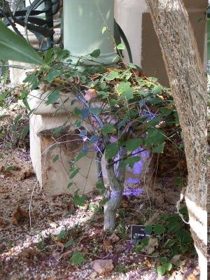 Reflected light from the blue panels.