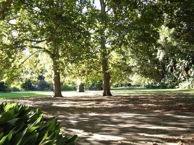 Autumn's dappled light and shadow.