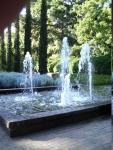 The fountain echoes the straight tall lines of the pencil pines beyond.