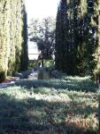 Looking up the avenue of pencil pines, either side of the reflecting pool, to the fountain at the top.