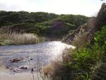 Looking back up the stream from the edge of the beach